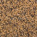 Зерновая смесь Миненко PMbaits 4кг  Bird Food Strawberry клубника (8 видов зерновых)