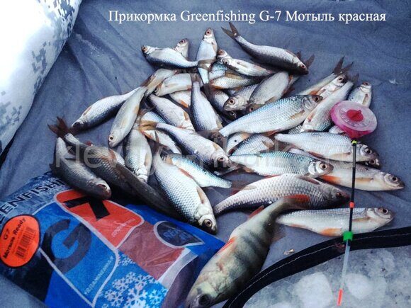 2018.01.22 Котлован Криводановка Greenfishing G7 мотыль