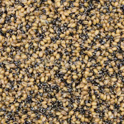 Зерновая смесь MINENKO Hemp & Wheat (4кг)(1)